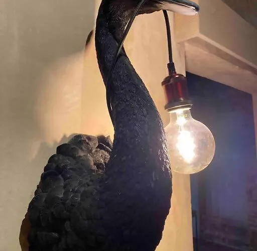 Domus Dea Luxury Apartment